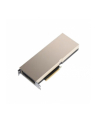 PNY Technologies NVIDIA A100 Modul 40GB HBM2 - nr 6