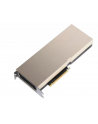 PNY Technologies NVIDIA A100 Modul 40GB HBM2 - nr 7