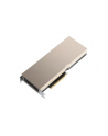 PNY Technologies NVIDIA A30 Modul 24GB HBM2 - nr 11