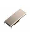 PNY Technologies NVIDIA A30 Modul 24GB HBM2 - nr 16