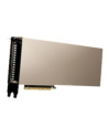 PNY Technologies NVIDIA A40 Modul 48GB GDDR6 - nr 2