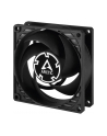 Arctic Cooling Arctic P8 PWM PST CO Fan, czarny - 80mm - nr 24