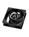 Arctic Cooling Arctic P8 PWM PST CO Fan, czarny - 80mm - nr 32