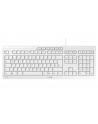 CHERRY STREAM KEYBOARD, keyboard (Kolor: BIAŁY / gray, US-English layout with (wersja europejska)RO symbol) - nr 11
