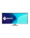 Monitor biznesowy 37,5'' EIZO FlexScan EV3895-WT 3840 x 1600 24:10 Curved - nr 49