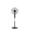 ETA Naos Fan ETA260790000 Stand Fan, Number of speeds 4, 50 W, Oscillation, Diameter 43 cm, Black - nr 2