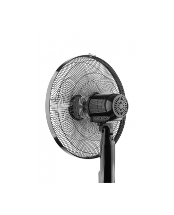 ETA Naos Fan ETA260790000 Stand Fan, Number of speeds 4, 50 W, Oscillation, Diameter 43 cm, Black nr 1