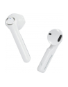 Panasonic True Wireless Earphones RZ-B100WD-E-W In-ear, White - nr 1