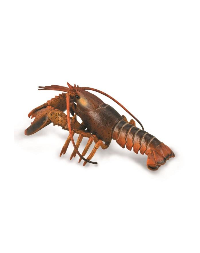 Lobster Homar 88920 COLLECTA główny