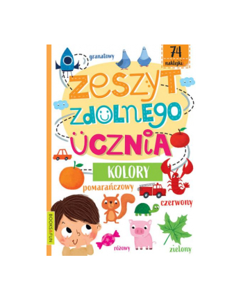 booksandfun Książeczka Zeszyt zdolnego ucznia Kolory Books and fun