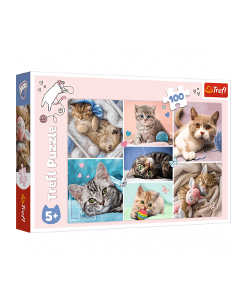 Puzzle 100el W kocim świecie 16420 Trefl