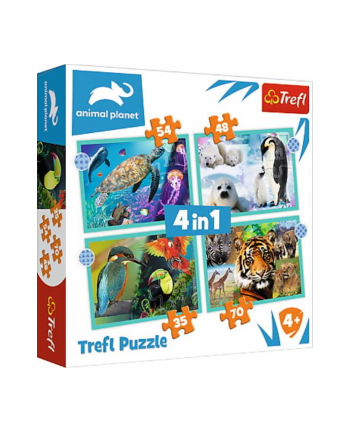 Puzzle 4w1 Tajemniczy świat zwierząt / Diskavery Animal Planet 34382 Trefl