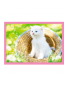 Puzzle 4w1 Zabawne kotki 34396 Trefl - nr 4