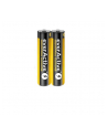 everactive Baterie paluszki LR03/AAA 40 szt. - nr 4