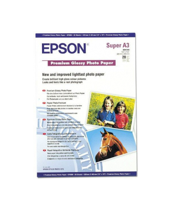 epson Papier Premium Glossy Photo A3+/ 20 Arkuszy / 250 g/m2 nr 2