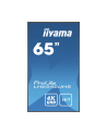 iiyama Monitor wielkoformatowy 64.5 cala LH6542UHS-B3 4K,18/7,SDM,IPS,LAN,PION,500cd/m2,OS8.0 - nr 18