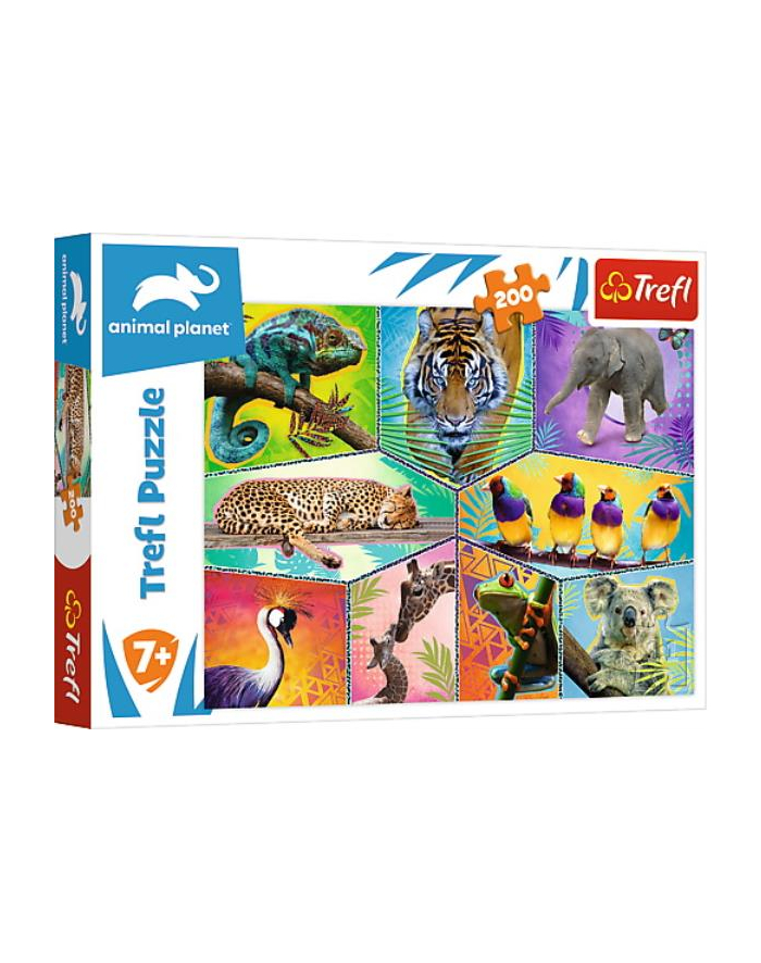 Puzzle 200el W egzotycznym świecie. Discovery Animal Planet 13280 Trefl główny