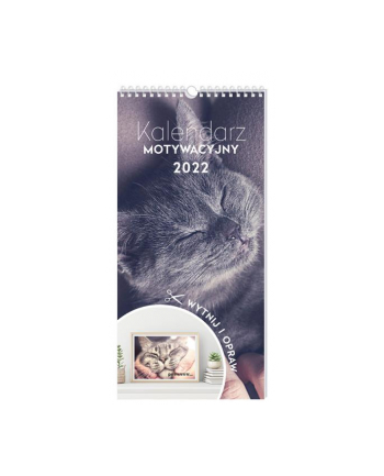 Kalendarz motywacyjny 22x46 Zwierzaki INTERDRUK