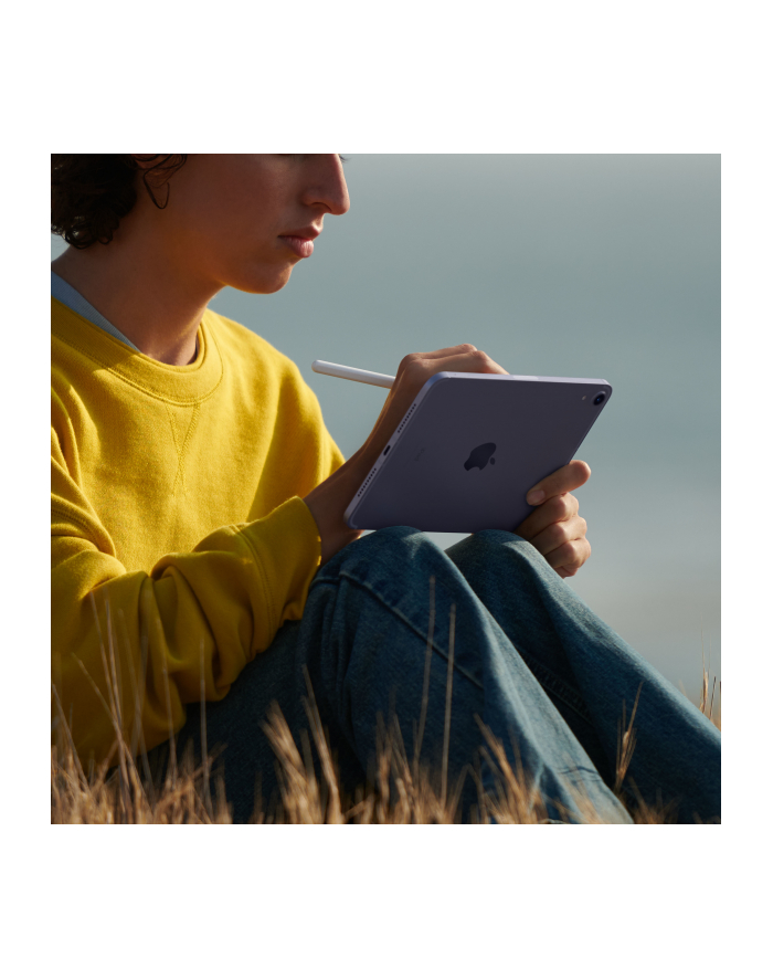 apple iPad mini Wi-Fi + Cellular 64GB -  Księżycowa poświata główny