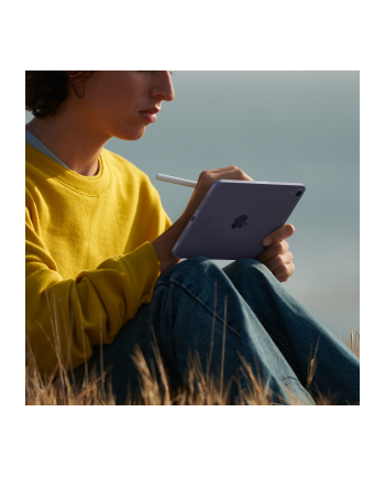 apple iPad mini Wi-Fi + Cellular 256GB - Fioletowy