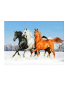 norimpex PROMO Diamentowa mozaika Konie 1005259 - nr 1