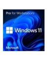 microsoft OEM Win Pro for Wrkstns 11 ENG x64     HZV-00101                Zastępuje: P/N HZV-00055 - nr 15