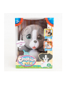 dante Emotion Pets Szary Piesek 11775 - nr 1