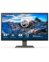 philips Monitor 42,51 cali 439P1 VA 4K HDMIx3 DP USB-C - nr 18