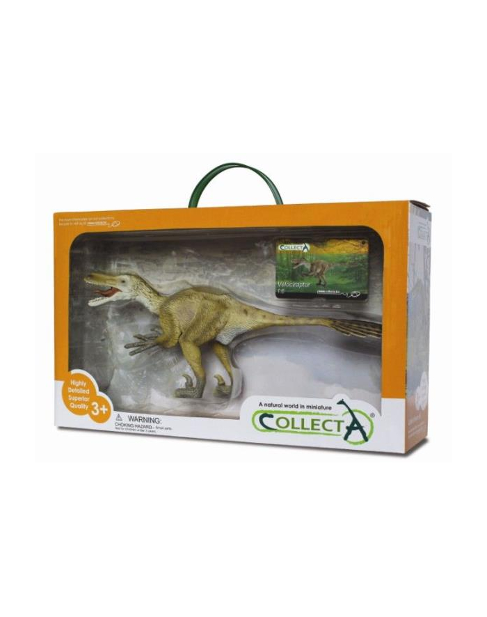 Dinozaur Velociraptor deluxe 89207 COLLECTA główny