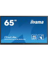 iiyama Monitor 65 cali TE6504MIS-B2AG PureTouch-IR,IPS,24/7,4K,USB-C,7H,S.PC - nr 42
