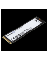 kingston Dysk SSD FURY Renegade 1000G PCIe 4.0 NVMe M.2 - nr 45