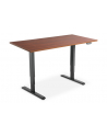 DIGITUS DA-90389 Electrically adjustable table frame height 63-125cm for plates up to 200cm Kolor: CZARNY - nr 10