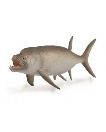 Wymarła ryba Xiphactinus 88928 COLLECTA