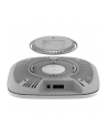 netgear Punkt dostępowy WAX630 AP WiFi 6 AX1800 - nr 83