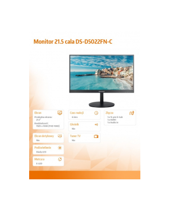 hikvision Monitor 21.5 cala DS-D5022FN-C