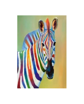 norimpex Malowanie po numerach Zebra 40 x 50 5570