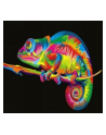norimpex Malowanie po numerach Kameleon 40 x 50 5584 - nr 1
