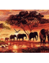 norimpex Malowanie po numerach Słonie 40 x 50 5595 - nr 1