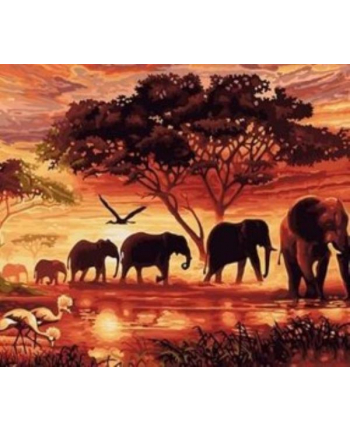norimpex Malowanie po numerach Słonie 40 x 50 5595