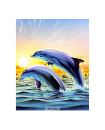 norimpex Malowanie po numerach Delfin 40 x 50 5605