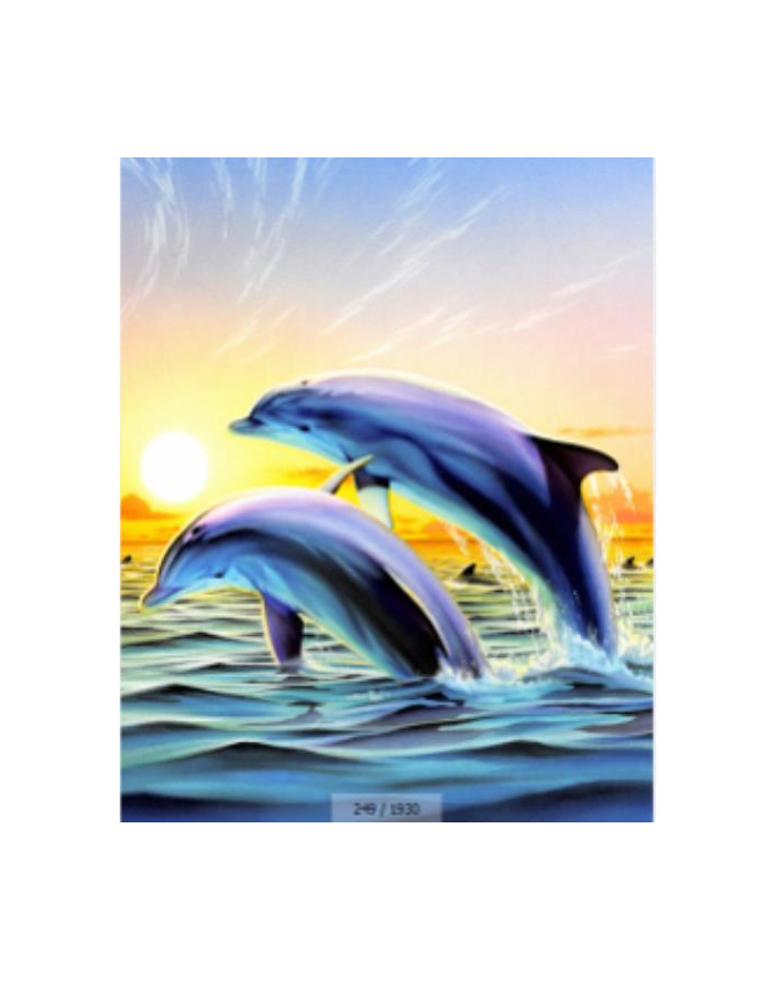 norimpex Malowanie po numerach Delfin 40 x 50 5605 główny