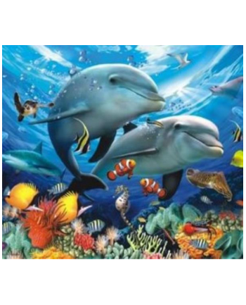 norimpex Malowanie po numerach Delfiny, oceanarium  40 x 50 5608