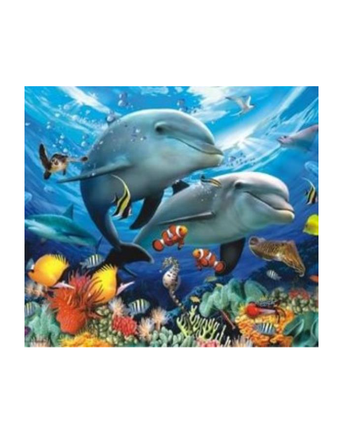 norimpex Malowanie po numerach Delfiny, oceanarium  40 x 50 5608 główny
