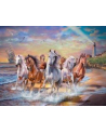 norimpex Malowanie po numerach Konie na brzegu morza 40 x 50 5710 - nr 1