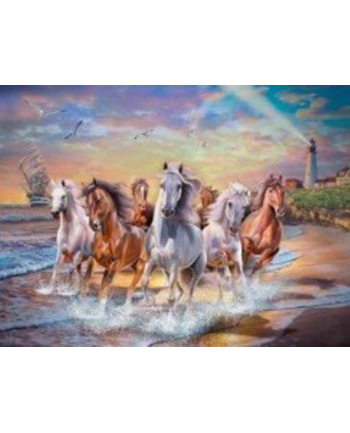 norimpex Malowanie po numerach Konie na brzegu morza 40 x 50 5710