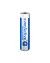 everactive Baterie LR03/AAA Blue Alkaline40 szt. Edycja limitowana - nr 2
