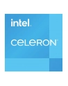 intel Procesor Celeron G6900 3,4GHz LGA1700 BX80715G6900 - nr 7