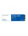 western digital WD Blue SSD SN570 NVMe 250GB M.2 2280 PCIe Gen3 8Gb/s internal single-packed - nr 13