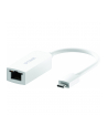 D-LINK USB-C to 2.5G Ethernet Adapter - nr 25