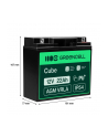 GREEN CELL Battery AGM 12V 22Ah - nr 18